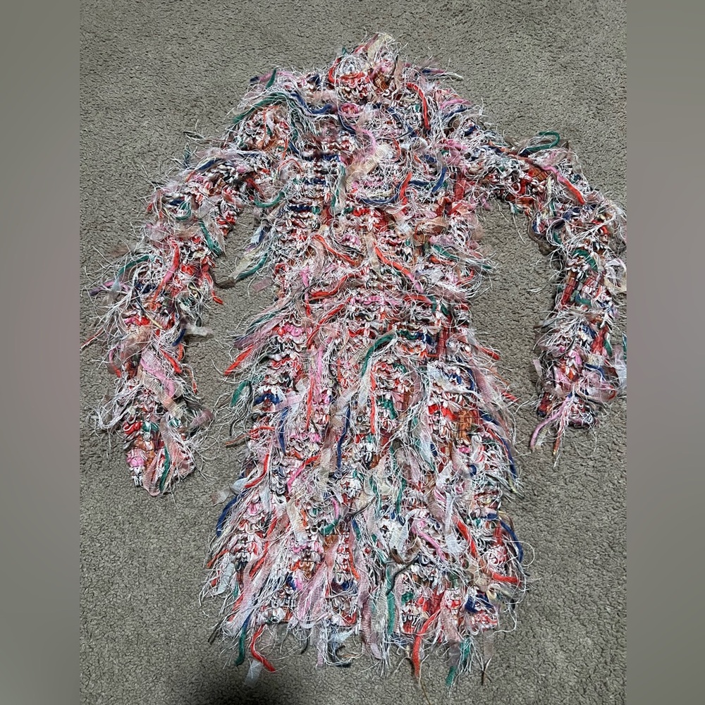Colorful Fringe Long Sleeve Dress